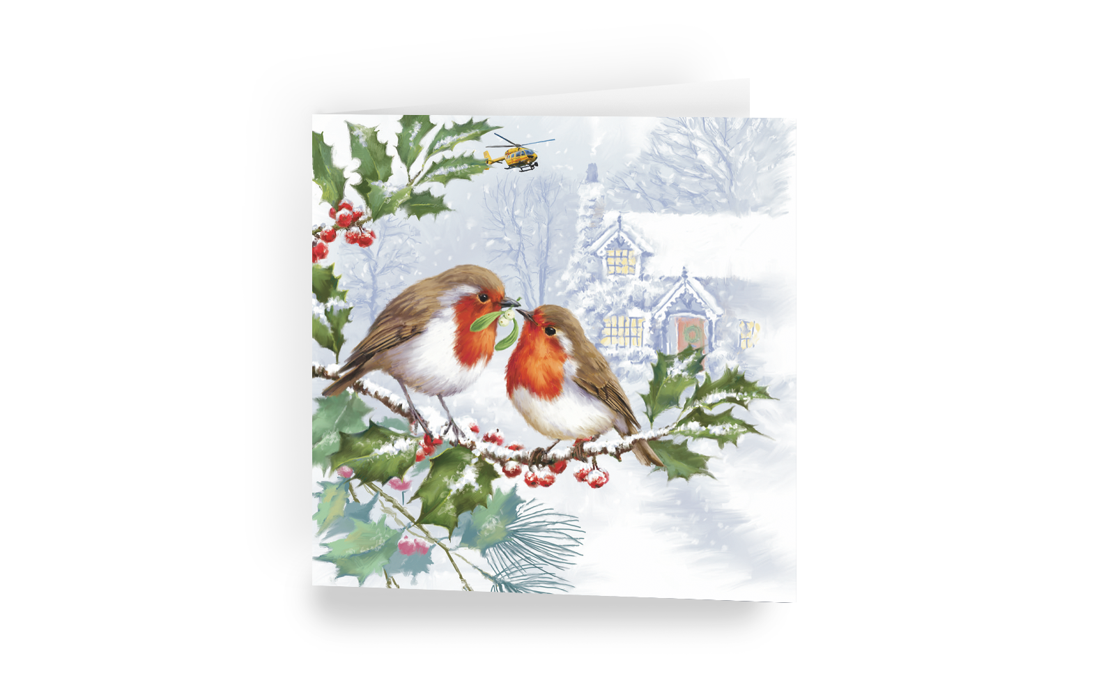 Christmas card - Feathered Friends