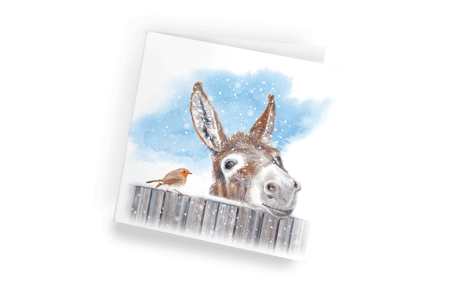 Little Donkey Christmas Cards