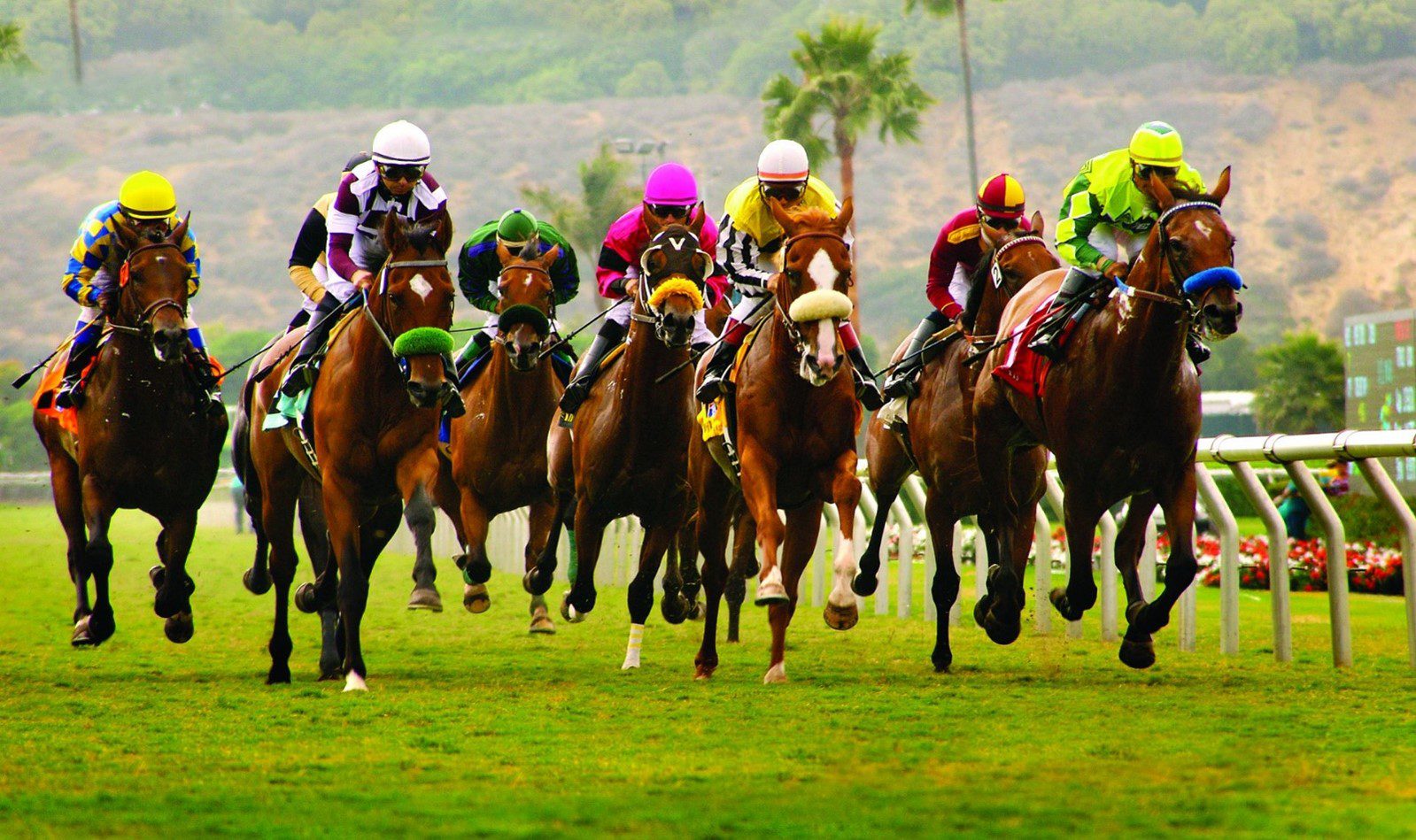 Biggleswade race night