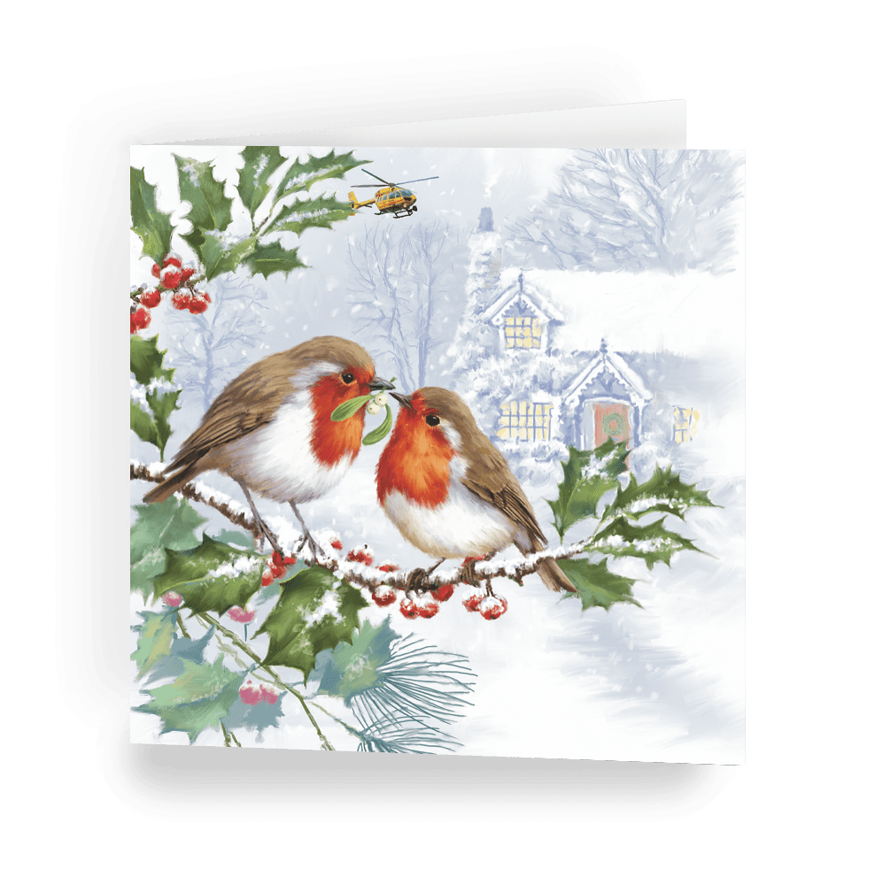 Christmas card - Feathered Friends