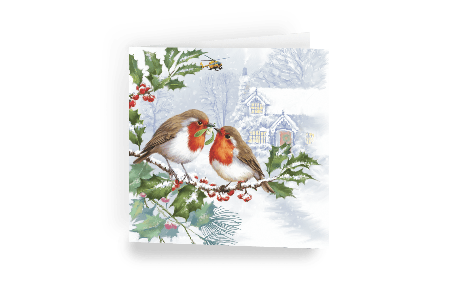 Christmas card - Feathered Friends