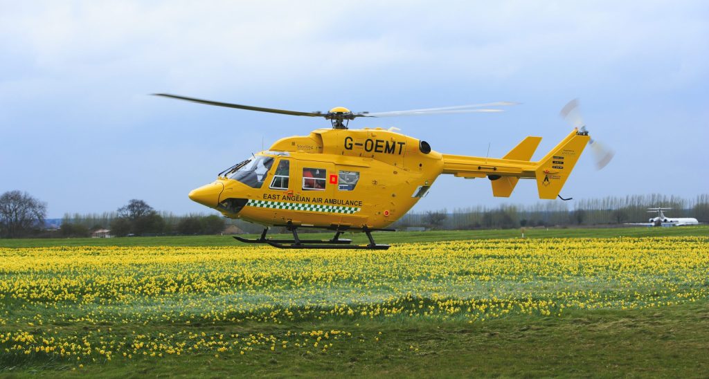 BK117 in daffodils