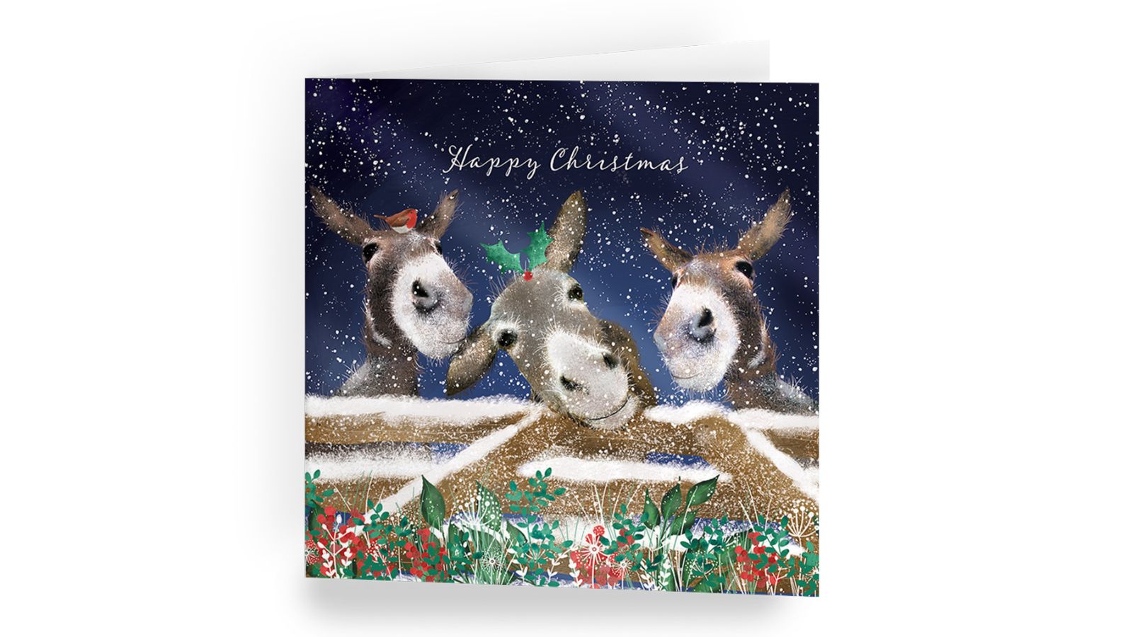 ‘Festive Donkeys’ Christmas cards