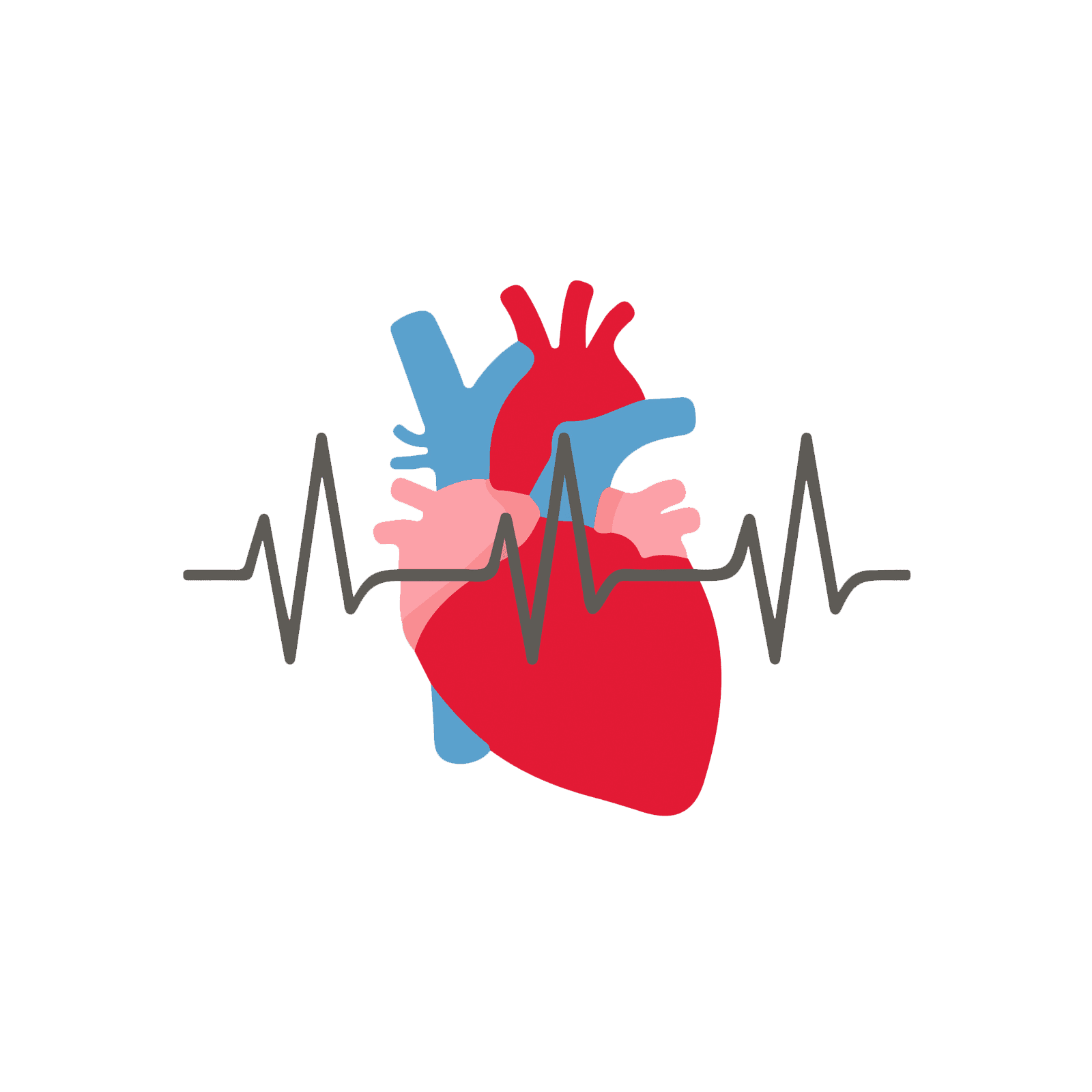 Cardiac Arrest Illustration- Image credit Heart Foundation .org