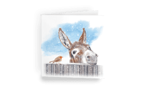 Little Donkey Christmas Cards