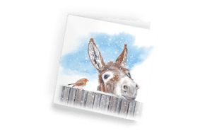 Little Donkey Christmas Cards