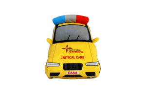 critical care car