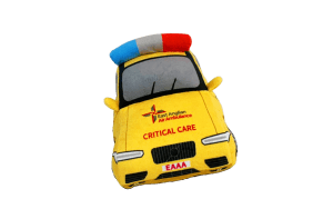 critical care car