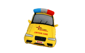 critical care car