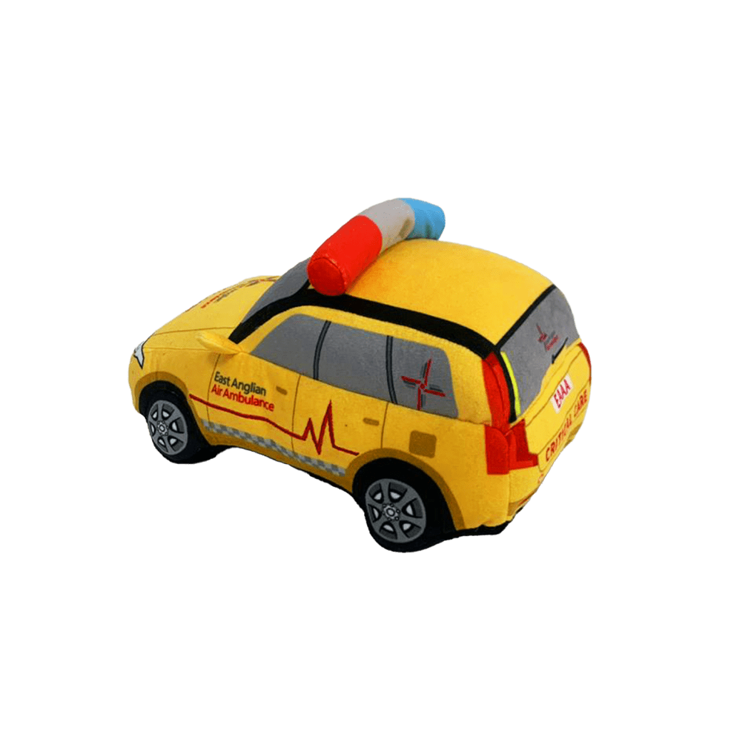 critical care car