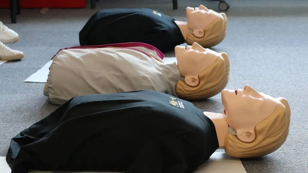CPR mannequins