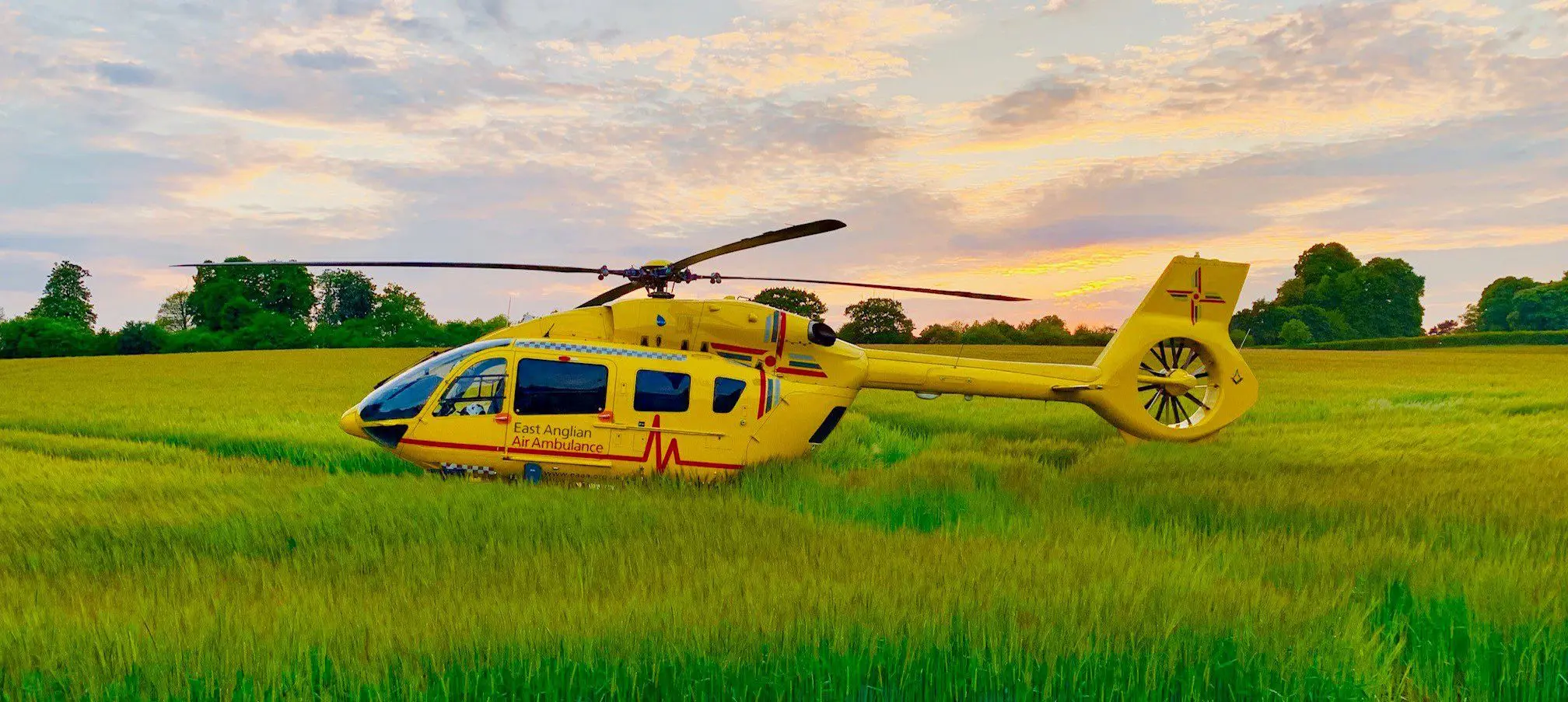 Helicopter in long grass