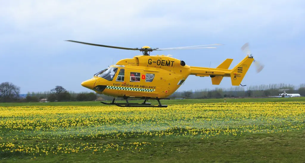 BK117 in daffodils