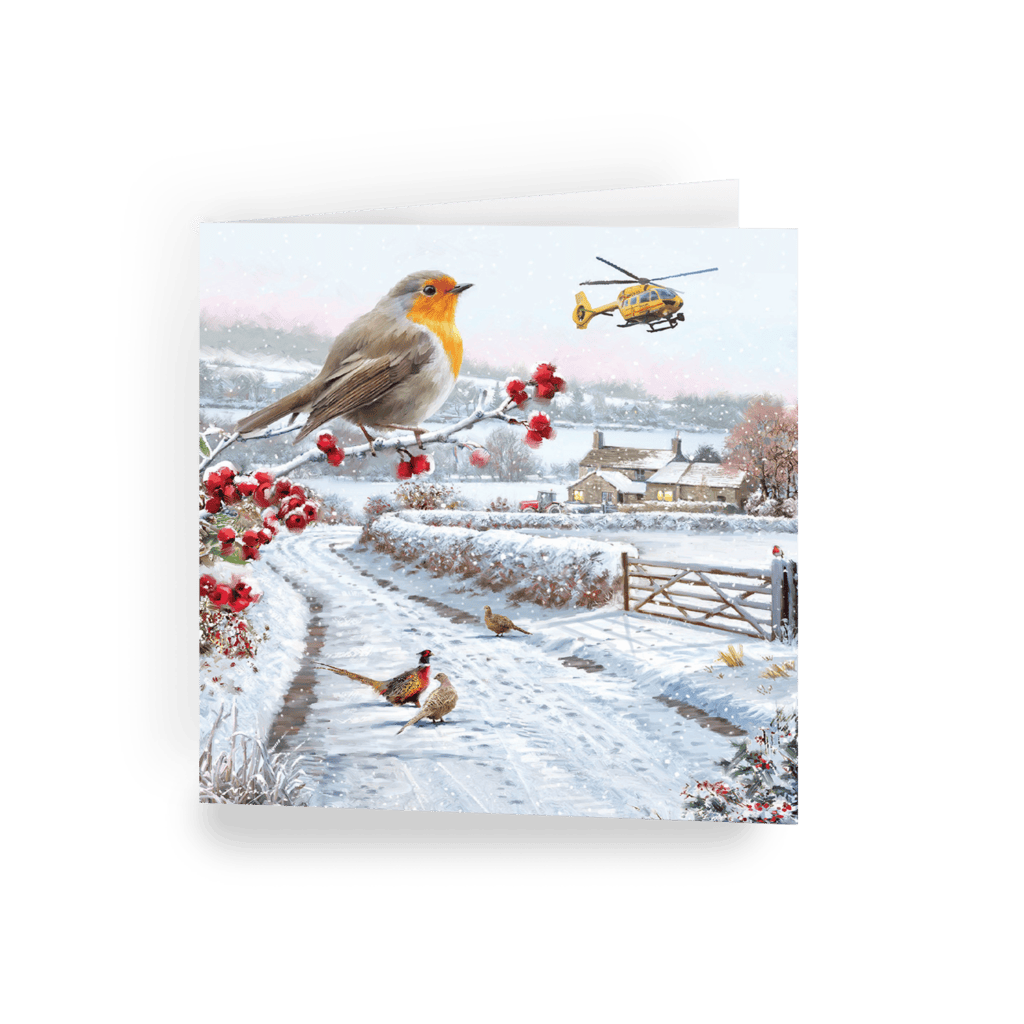 East Anglian Air Ambulance Winter Birds Christmas card
