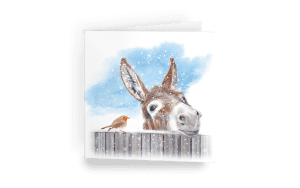 Little Donkey Christmas Cards