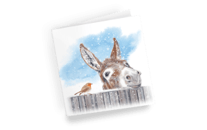 Little Donkey Christmas Cards