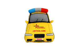 critical care car