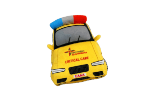 critical care car