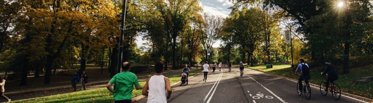 Scenic image of people running and cycling in park