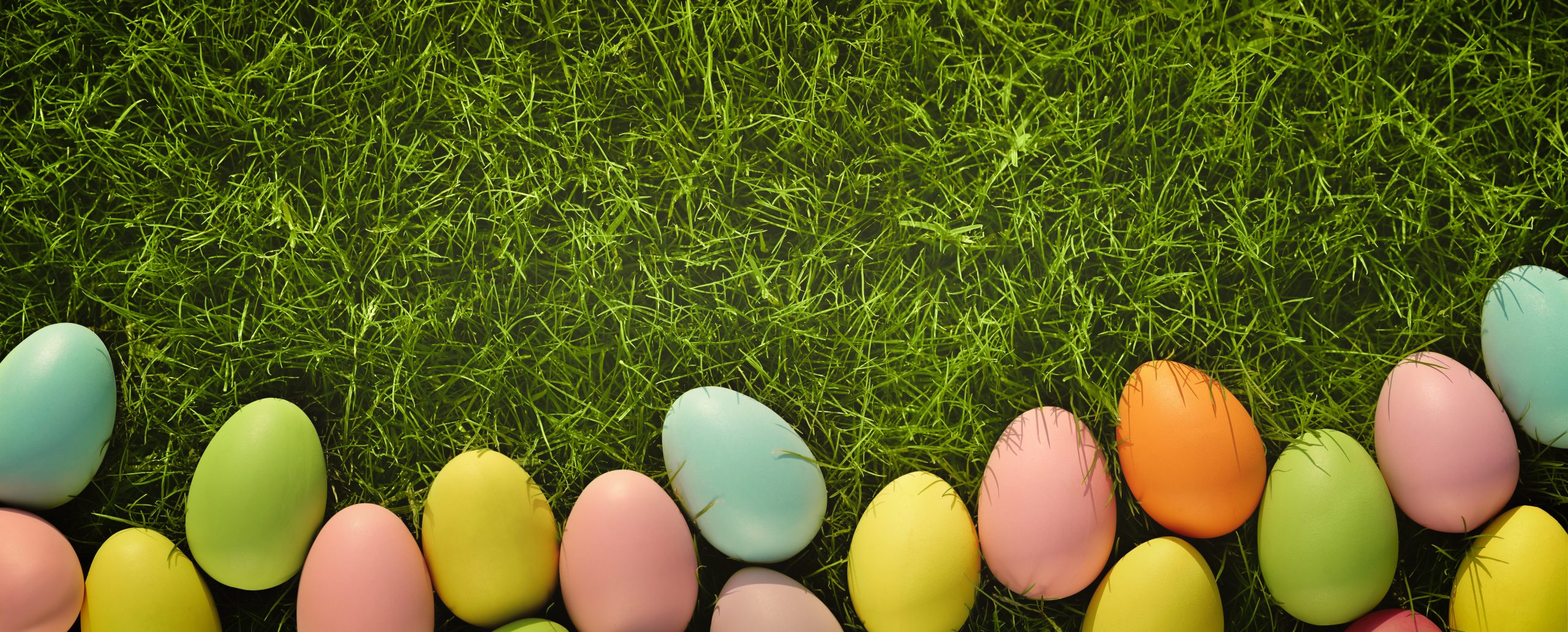 Easter eggs on meadow grass background