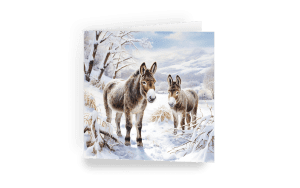 Christmas card - Little Donkey