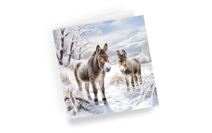 Christmas card - Little Donkey - left