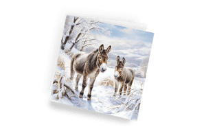 Christmas card - Little Donkey- right