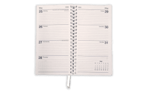 Diary Insert - inside