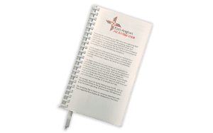 Diary Insert - right