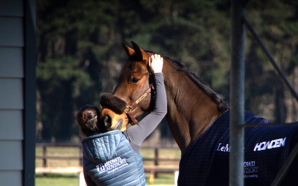Behind the scenes of an equestrian tasking