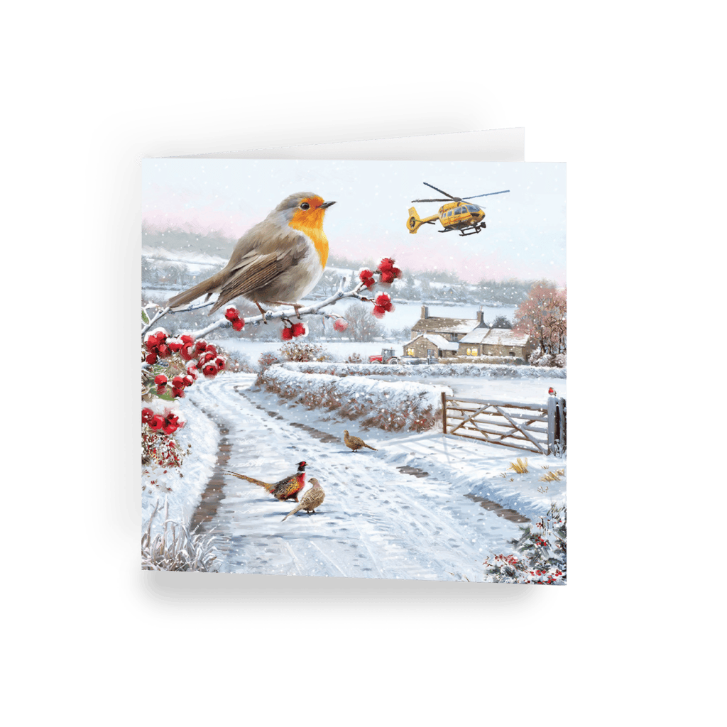 East Anglian Air Ambulance Winter Birds Christmas card